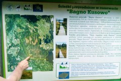 Bagno Kusowo Torfmoor