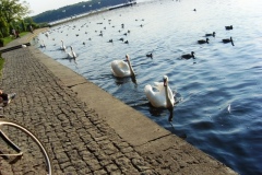 Szczecinek am See