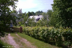 PICT0779.JPG